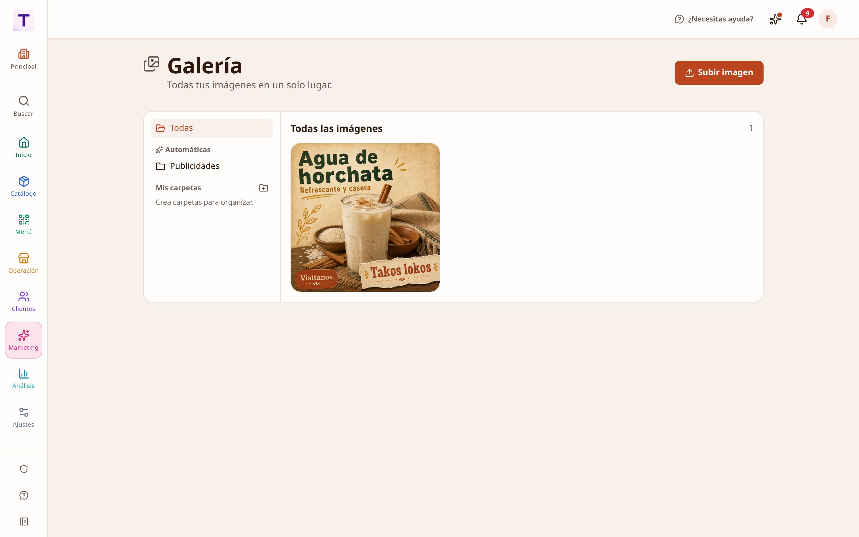 Galería de las piezas generadas, listas para descargar o publicar en redes